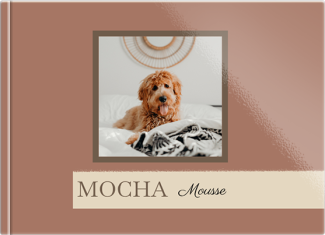 fotoksiążka Mocha mousse