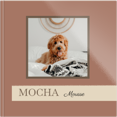 fotoksiążka Mocha mousse