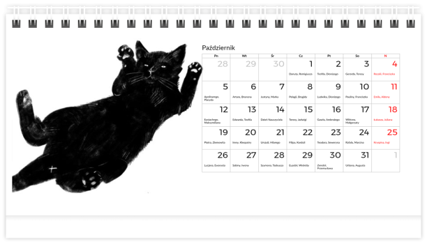 fotokalendarz Czarny kot