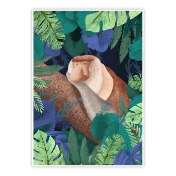 plakat Nosacz w dżungli